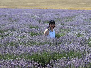 jasmin sexshow picture AvroraFlower