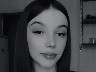 teaser webcam SoilaHoyles